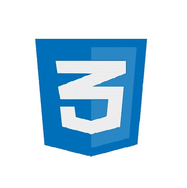 CSS Logo